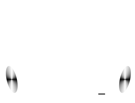 Reach Production